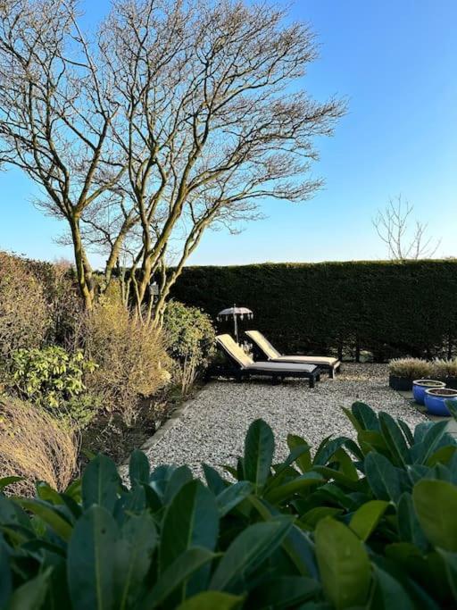 Beachhouse Zonneweelde Noordwijk Εξωτερικό φωτογραφία